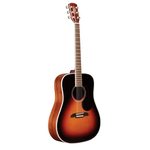 Акустична гітара Alvarez AD80SSB, image 